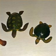 tartaruga plastica usato