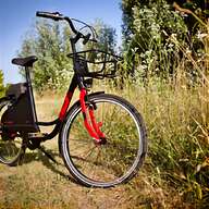 bici elettrica pedalata usato