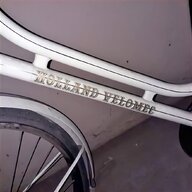 bicicletta holland usato