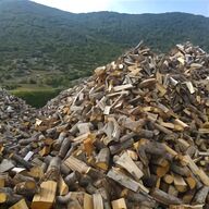 legna carpino ardere usato