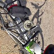 biciclette pedalata assistita usato