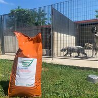mangime cani 25 kg usato