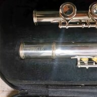 flauto irlandese usato