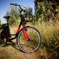 pedalata assistita bici elettrica usato