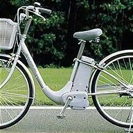 bicicletta elettrica pedalata assistita palermo usato