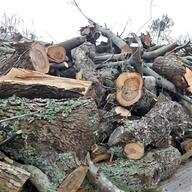 legna tronchi in vendita usato