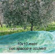 raccolta olive rete usato