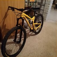 specialized expert carbon 29 usato