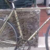 biciclette legnano roma usato