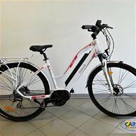 batteria litio bicicletta elettrica italwin usato