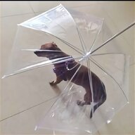 ombrello trasparente usato