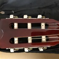chitarra 12 corde giannini usato