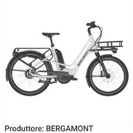 bicicletta elettrica bergamont usato