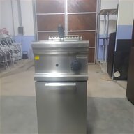 friggitrice elettrica professionali usato