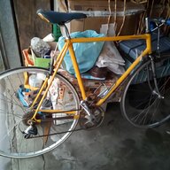 bici corsa acciaio usato