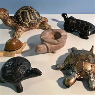 tartaruga africana usato