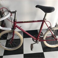 bici raleigh vintage usato