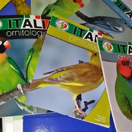 riviste italia ornitologica usato