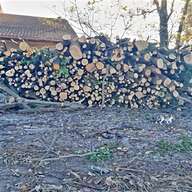 taglia e spacca legna macchina in vendita usato