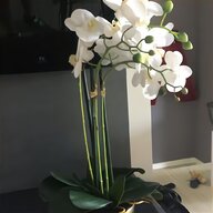 corteccia orchidee usato