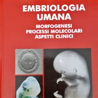 embriologia umana usato
