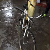 bici corsa acciaio pinarello usato