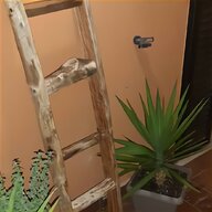 scale per piante usato