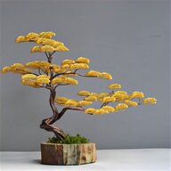 concime bonsai usato