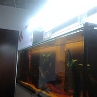 plafoniera acquario marino 60 cm usato