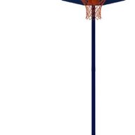 canestro basket regolabile usato