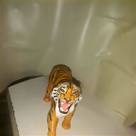 dente tigre usato