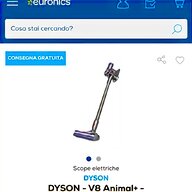 dyson dc62 animal usato