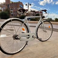 bicicletta artigianale usato