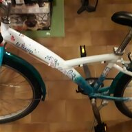 batterie biciclette elettriche 36v usato