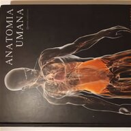 anatomia umana martini timmons usato