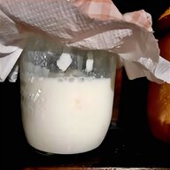 fermenti lattici yogurt usato