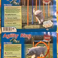 agility dog usato