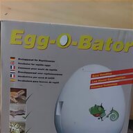 incubatrice uova rettili usato