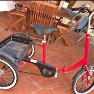 triciclo elettrico assistita usato