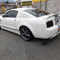 ford mustang shelby gt 500 usato