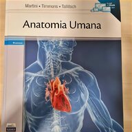 poster anatomia umana usato