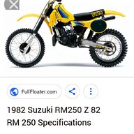 moto suzuki ts 250 usato