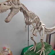 dinosauro gigante usato