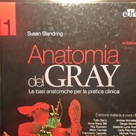 anatomia gray usato