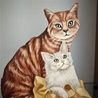 dipinto gatti usato