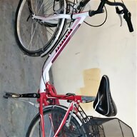 bicicletta donna lombardia usato