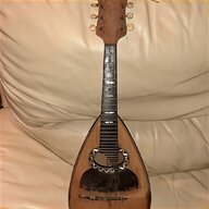 mandolino vinaccia usato