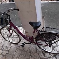 bicicletta holland usato