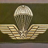 paracadutista brevetto usato