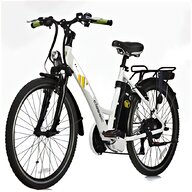bicicletta elettrica roma usato